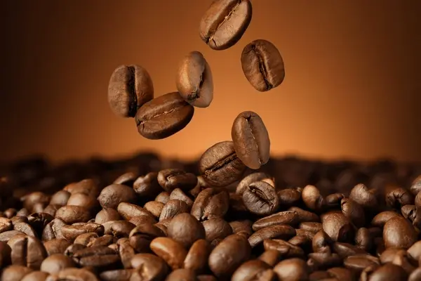 coffee shop with barista using coffee equipment